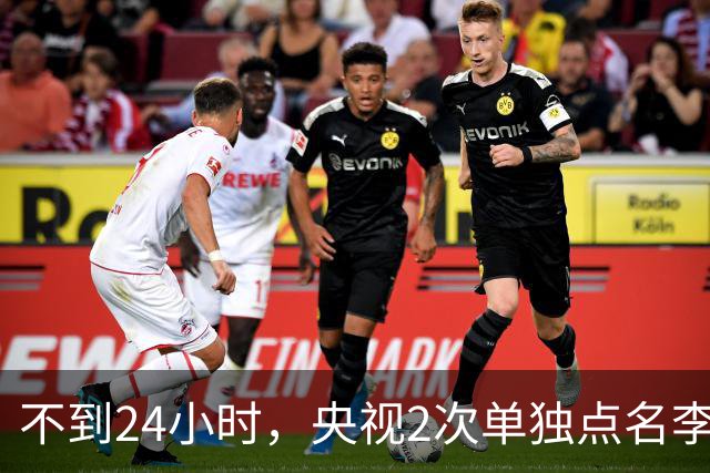 不到24小时，央视2次单独点名李雪健，原来李幼斌当时句句属实