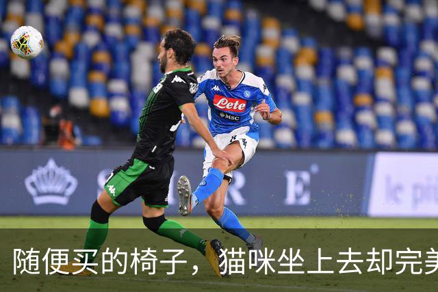 随便买的椅子，猫咪坐上去却完美契合，还以为是量身定做的！